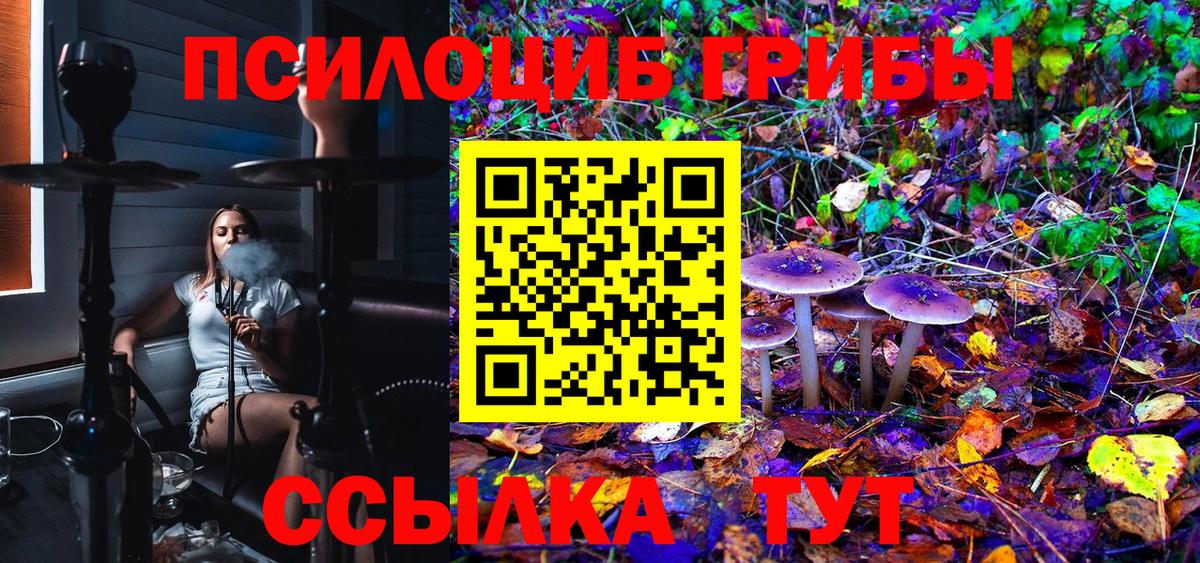 Майский  Галлюциногенные грибы Magic Shrooms  Вход с VPN  Псилоцибиновые грибы Magic Shrooms 