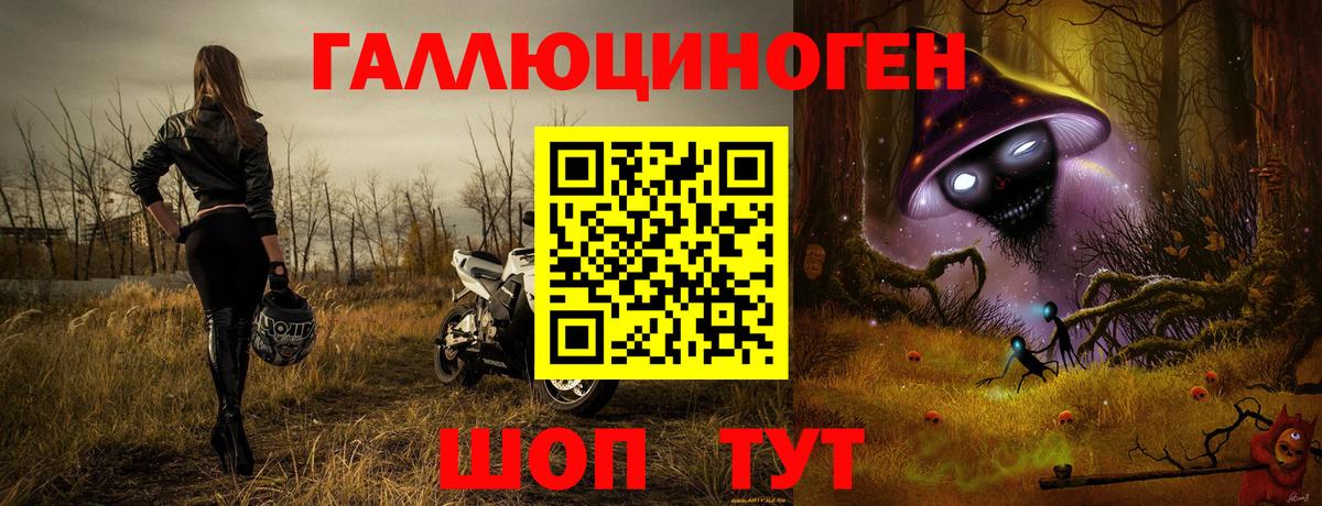 Галлюциногенные грибы прущие грибы Майский